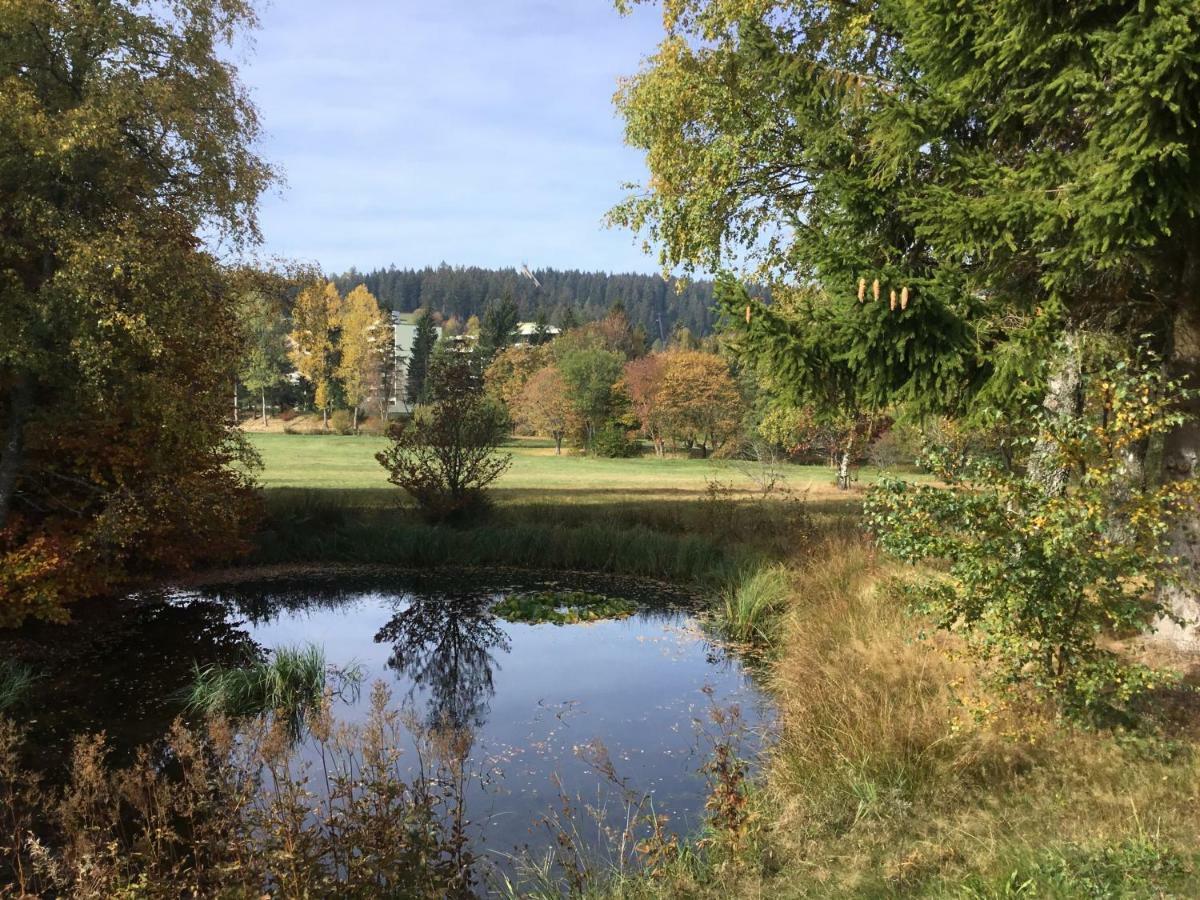 Gemuetliche 1Z Fewo In Schoenwald Mit Balkon, Schwimmbad, Sauna, Fitness Zewnętrze zdjęcie